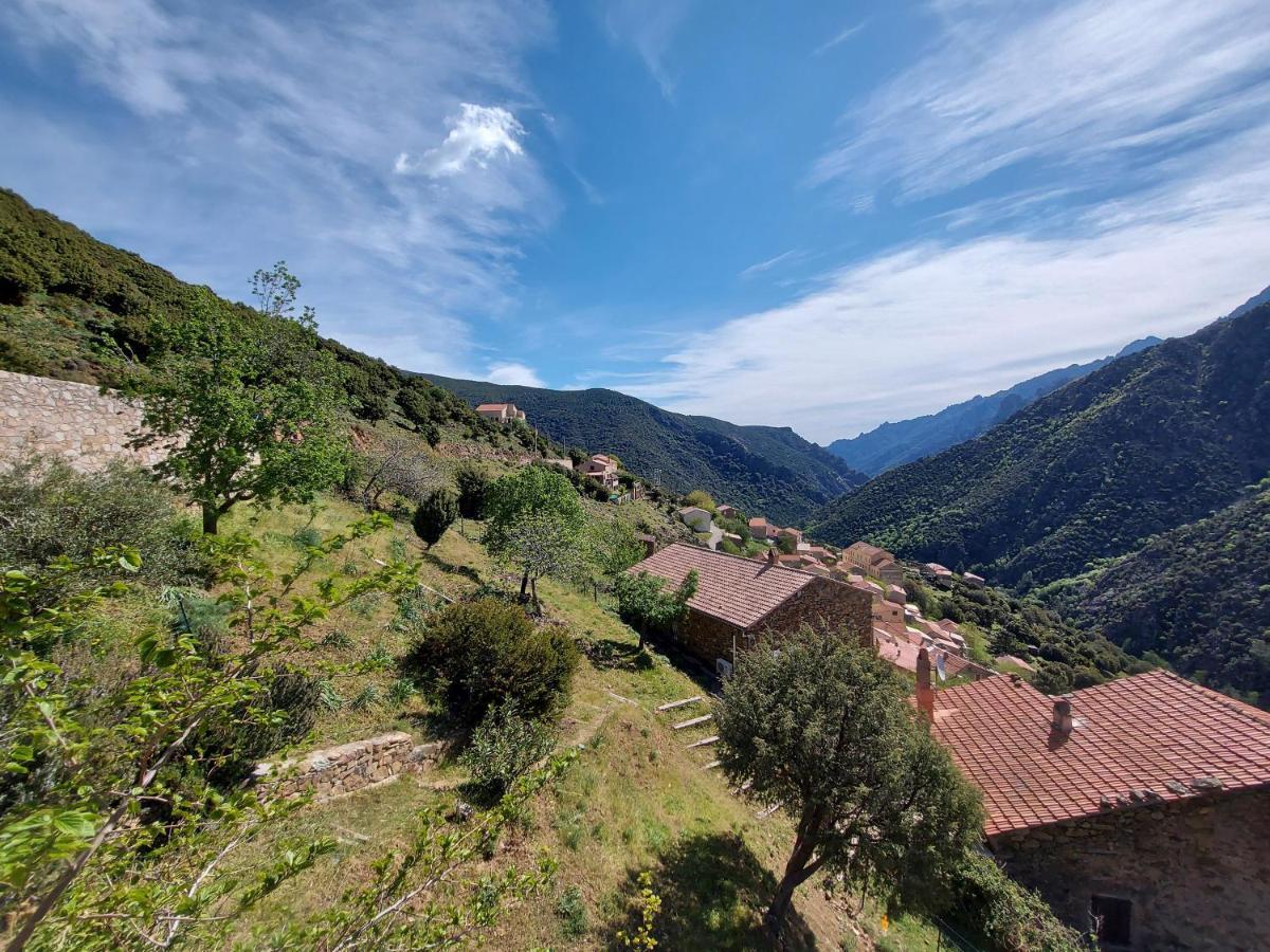 Residence E Cime Asco Locations De Studios Meubles Экстерьер фото