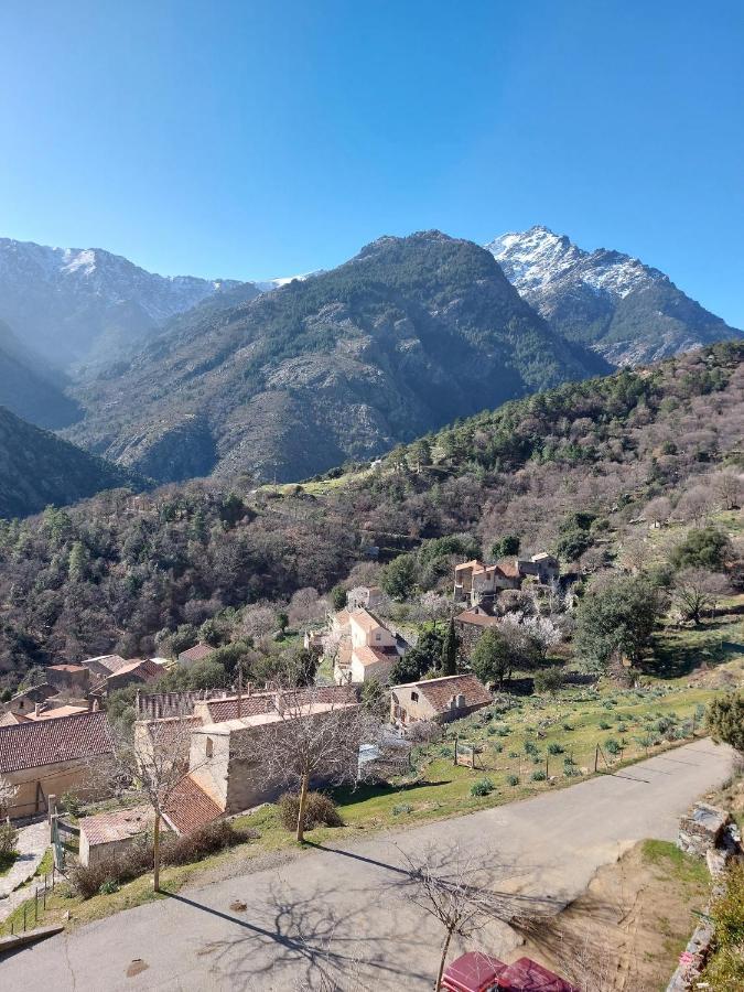 Residence E Cime Asco Locations De Studios Meubles Экстерьер фото