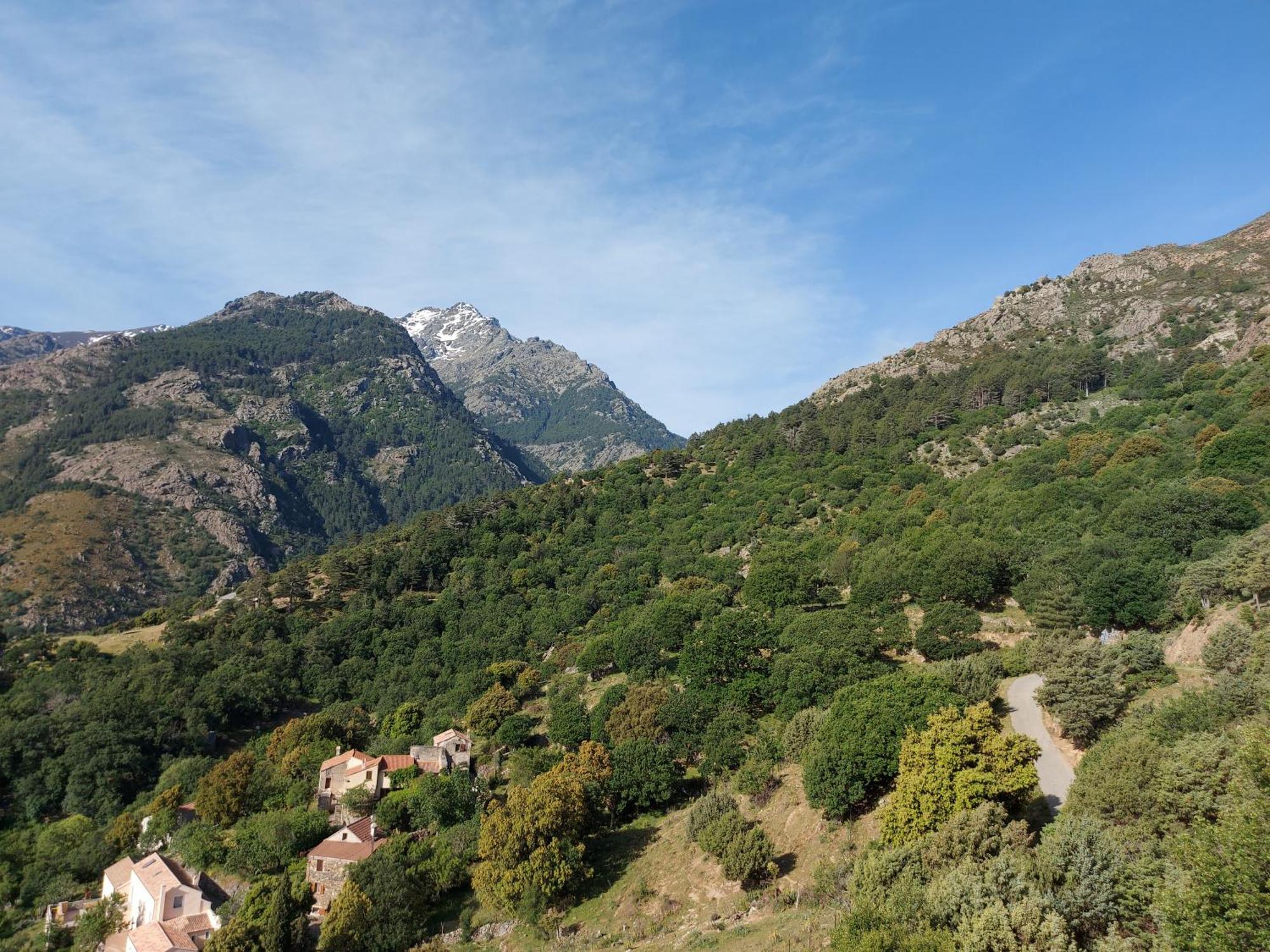 Residence E Cime Asco Locations De Studios Meubles Экстерьер фото
